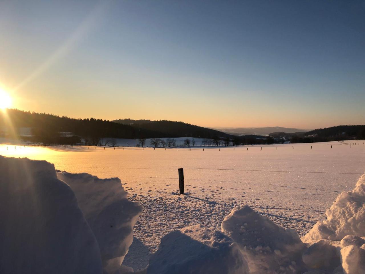 Vila Pasecna - Lipno Βίλα Přední Výtoň Εξωτερικό φωτογραφία