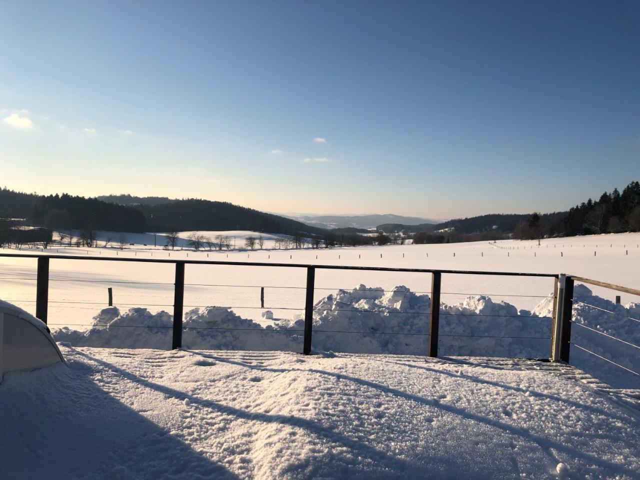 Vila Pasecna - Lipno Βίλα Přední Výtoň Εξωτερικό φωτογραφία